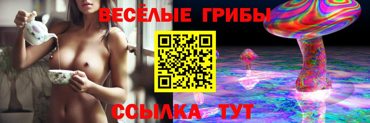 Псилоцибиновые грибы ЛСД Мариинск